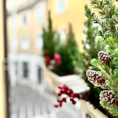 דירה Domus Sofia Historic Center רימיני