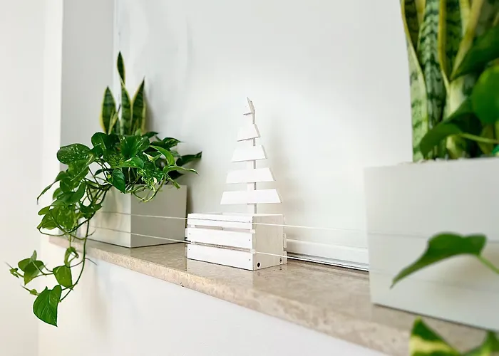 Domus Sofia Historic Center דירה