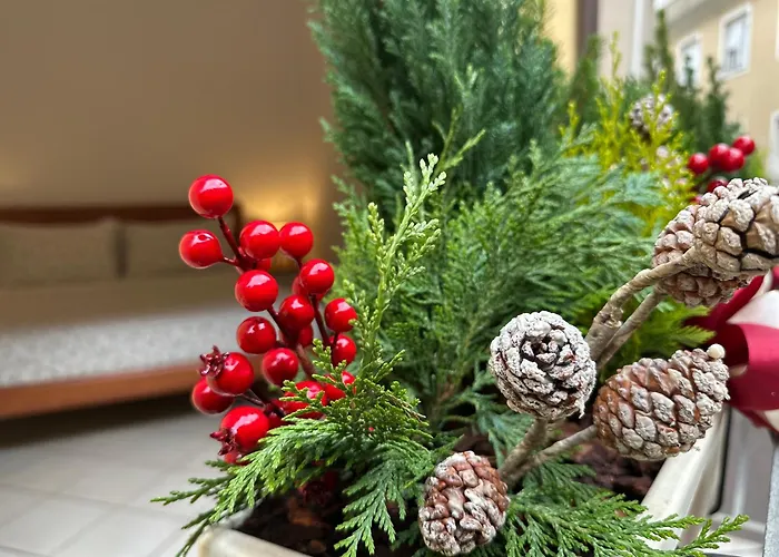 Domus Sofia Historic Center * רימיני