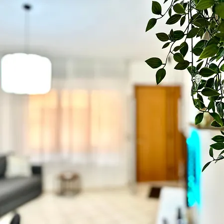 Domus Sofia Historic Center Apartment Rimini