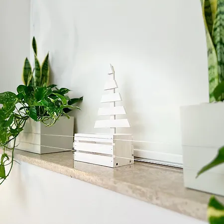 Domus Sofia Historic Center شقة