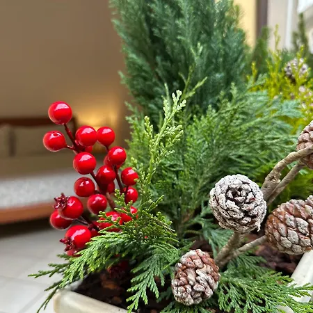 Domus Sofia Historic Center * ريميني